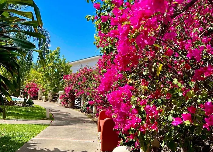 Breezy Paradise 2 Bed2bath With Mountain View Coco